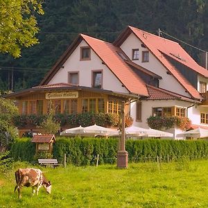 Gasthaus Hohberg